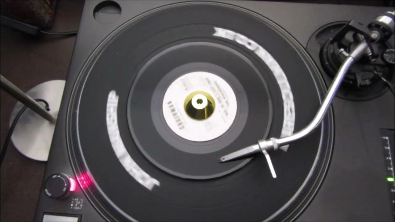 The Palisades – Make The Night A Little Longer - Chairman – 45-4401 The Palisades – Make The Night A Little Longer - Chairman – 45-4401