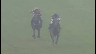 RACE 1  Fontwell 27 Mar 2026 screenshot 1