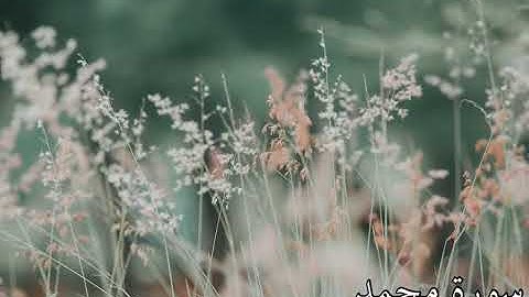🟢سورة #محمد كاملة من المصحف المرتل بصوت عذب وتلاوة جميلة جدا  .