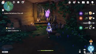 Hidden Electroculus Location Near Konda Village