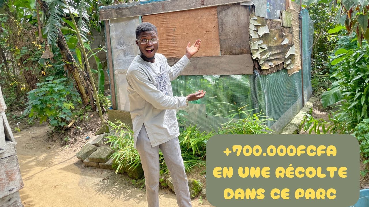 De 200 à 2000 Escargots ll Découvrez le Succès d'une Éleveuse Passionnée.