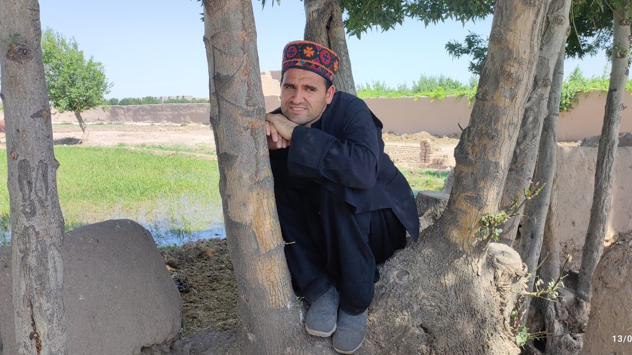 توبه خواهر من چه کار کردی