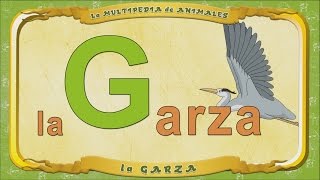 La Multipedia De Animales. Letra G - La Garza