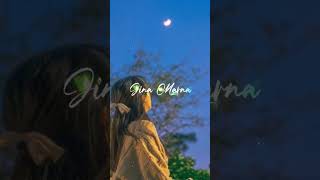 Dil Laga Liya Maine Tumse Pyar Karke Lofi Slowedreverb Remix Song Status  udit narayan trending