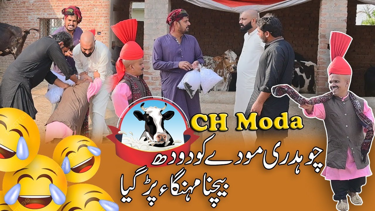 Mudassar Aur Chotta Don Me huwa Jhagra 😮😮 | Chotta Don | Road Studio