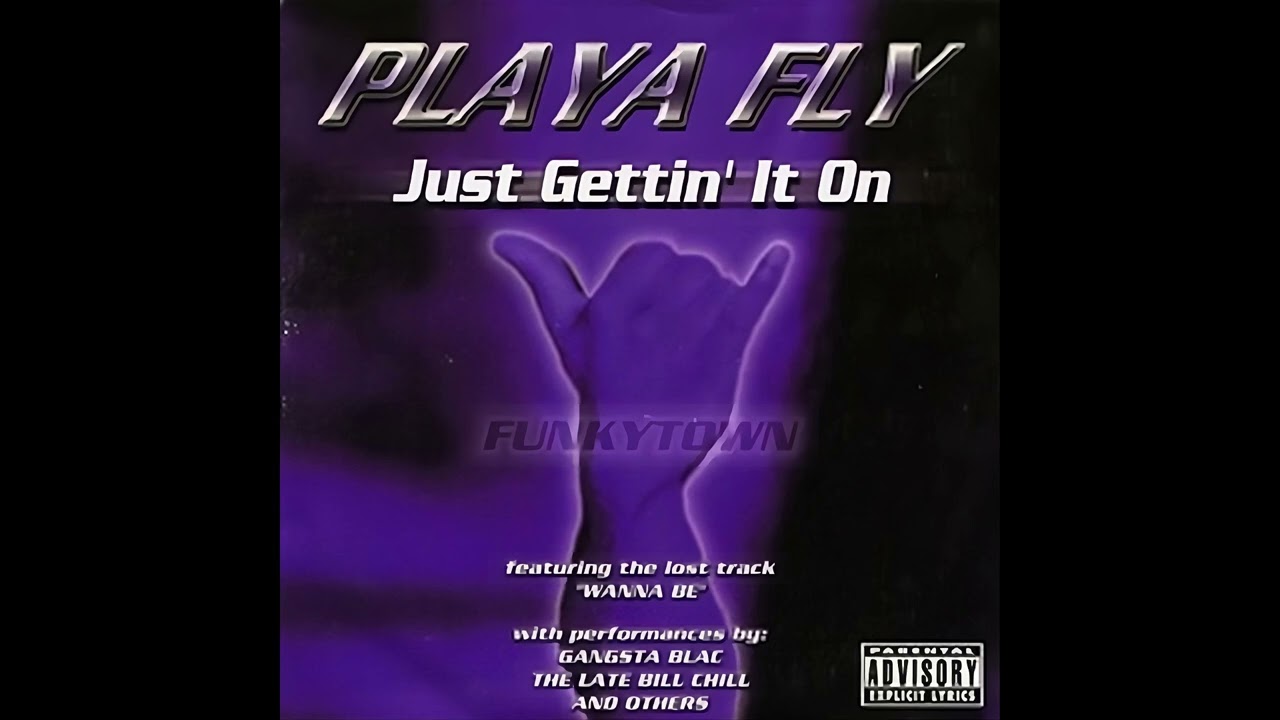 Playa Fly - Damn What A Nigga Say