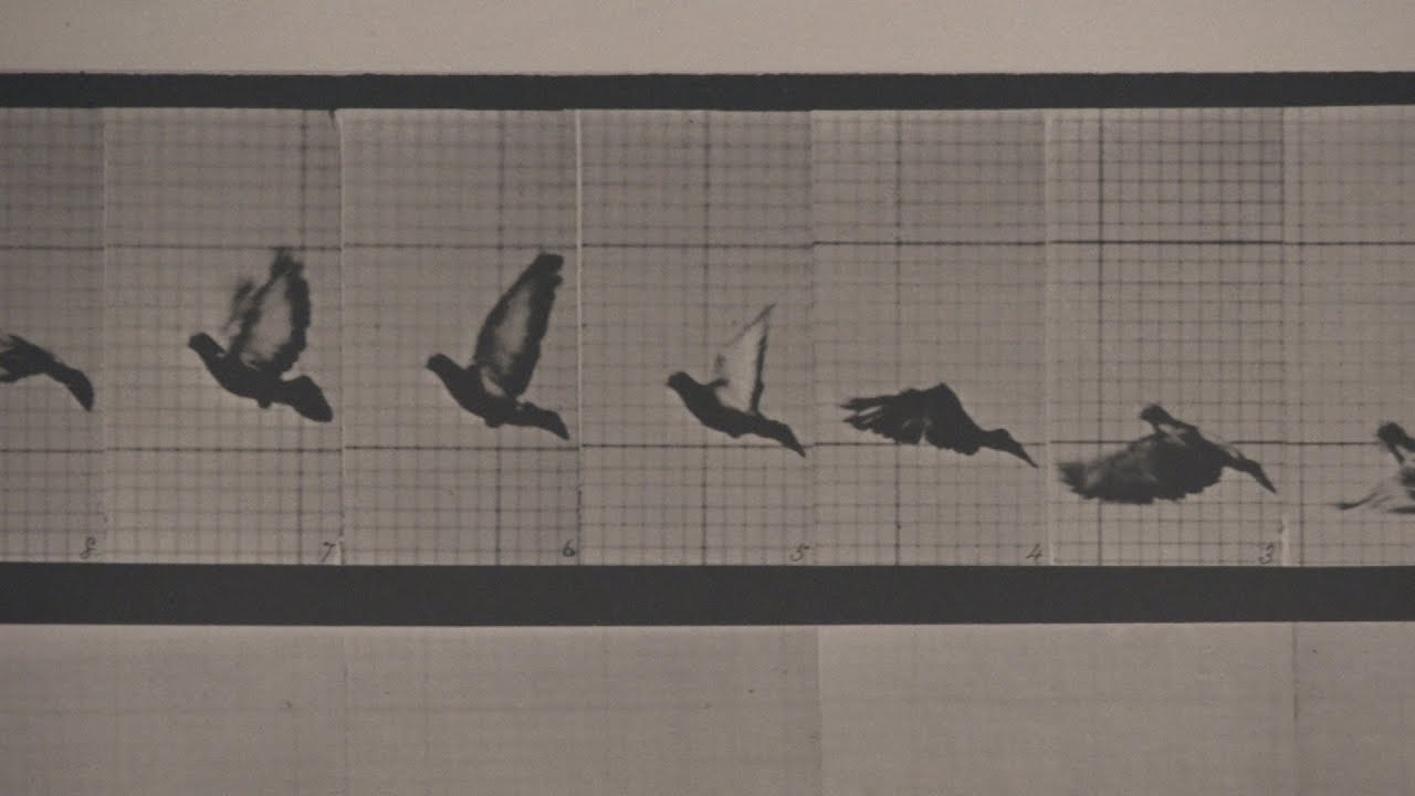 co-op meaning A Legacy of Art, Science & Industry: Highlights from the Drexel Collections