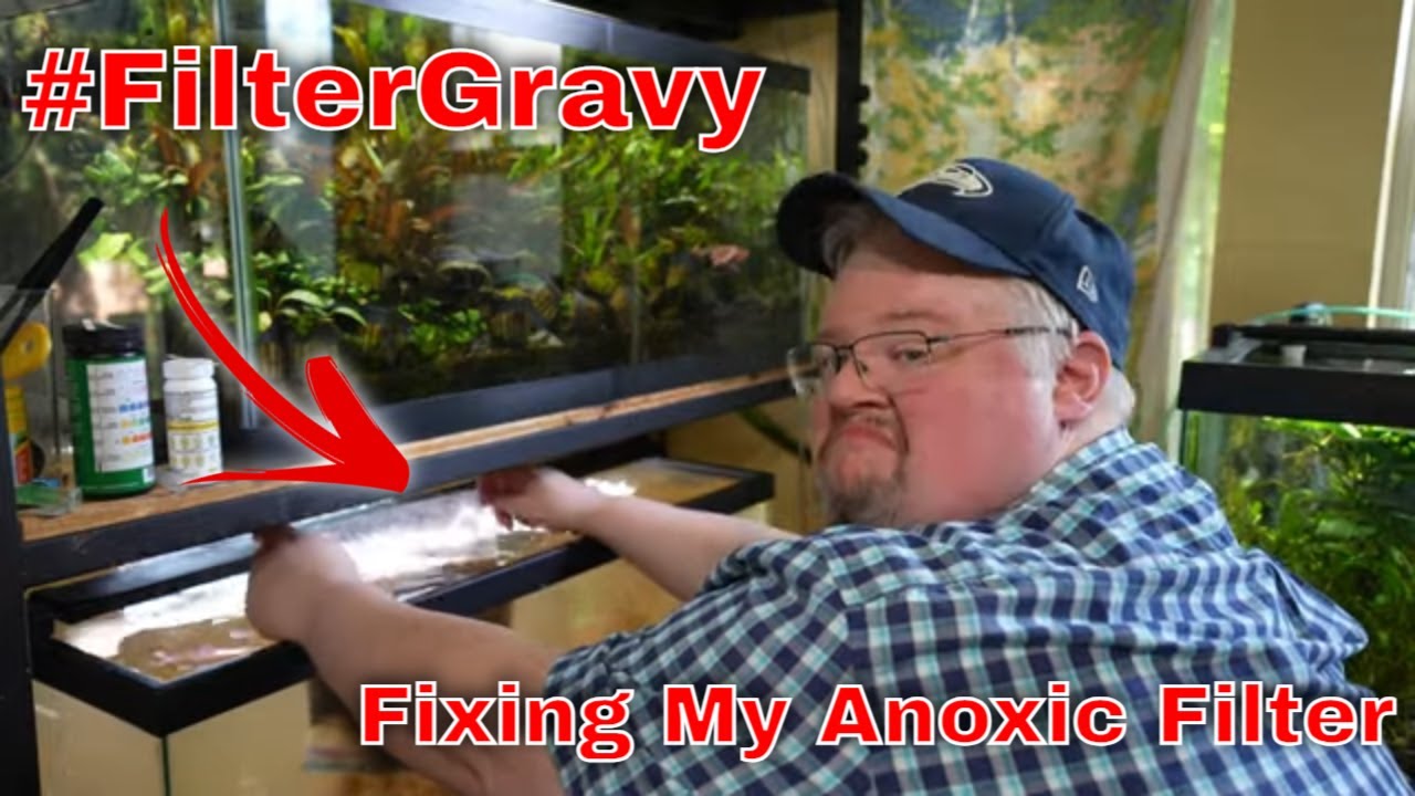 My Anoxic Filter Is Not Working - An Update and Let's Fix It!