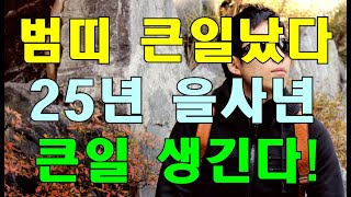 명리학으로 본 호랑이띠의 2025년 을사년 운세! (50년, 62년, 74년, 86년, 98년생)#명리학 #…