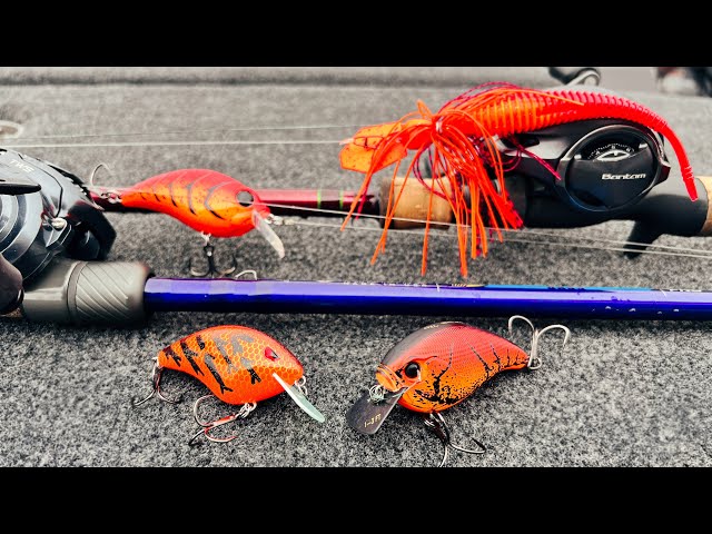 Muddy Water Bass Fishing Tricks!! (Best Baits, Colors, And Fishing Spots) 