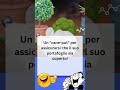 Il trader risponde! Come chiama un trader il suo cane?
