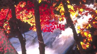 Gine Dertli Dertli İniliyorsun | Sivas Türküleri | Ayfer Erdemir