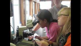 Winner The Diversity  Inclusion dandi Award Entreprenuer   Sheila Johnson