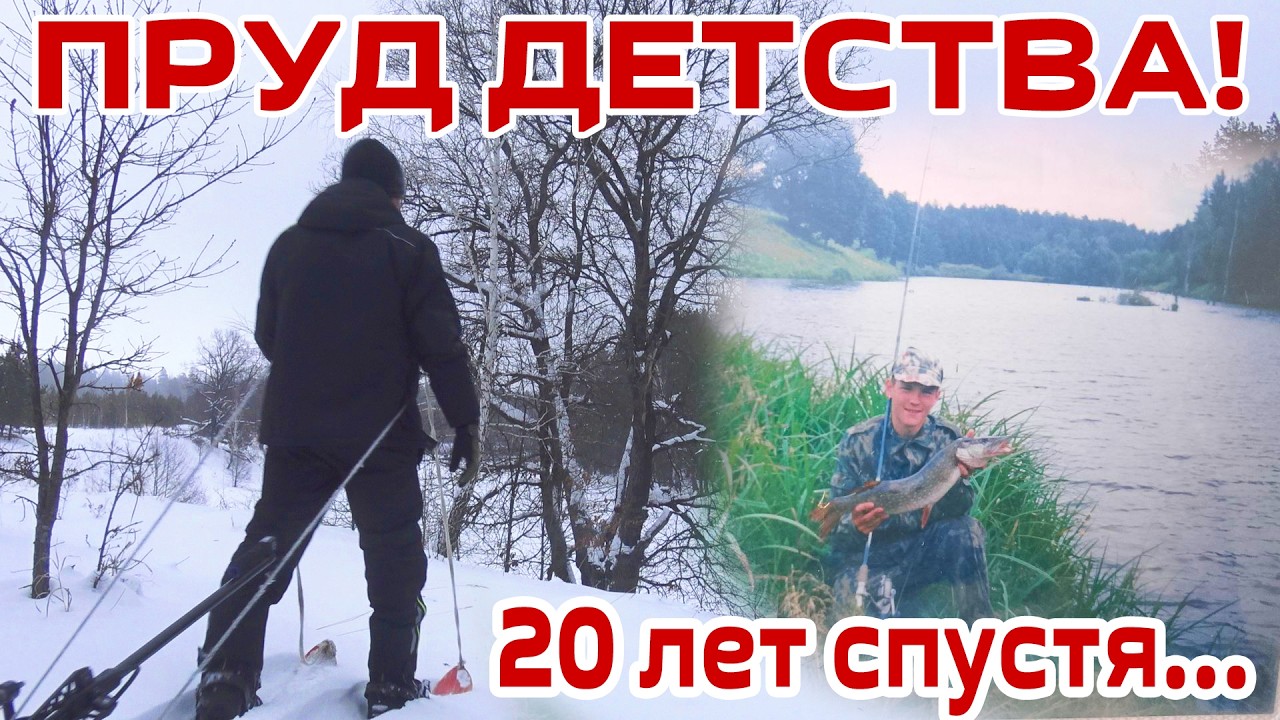 КАК УМИРАЛ ПРУД И ЧТО СТАЛО СПУСТЯ 20 ЛЕТ! Деревенский пруд часть 1 РАЗВЕДКА (февраль 2026)