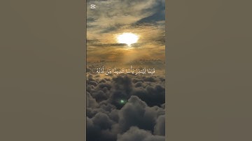 قرآن كريم - تلاوة خاشعة تدخل القلب و تريح العقل 😌🫀#edit #explore #foryou #fyp #video #اكسبلور #fy