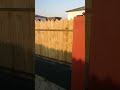Village House Design Namibia Design Building Village House Design Namibia Design Building