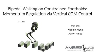 Bipedal Walking on Constrained Footholds: Momentum Regulation via Vertical COM Control