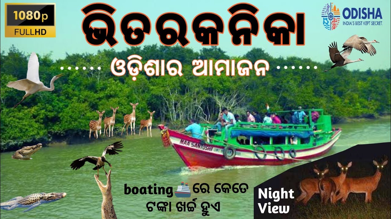 BHITARKANIKA - One Night Stay || ଭିତରକନିକା ରେ ଗୋଟେ ରାତି || Amazon of Odisha || Hunted Night