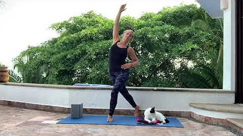 Yoga with Leona's Lower abdominal stretches for DI...