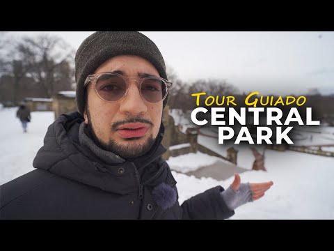 Conhecendo o Central Park no Inverno | Tomei um Tombo na Neve