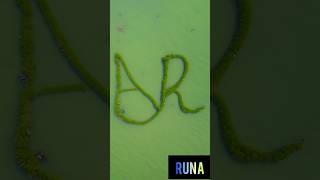 Runa Logo Text Design
