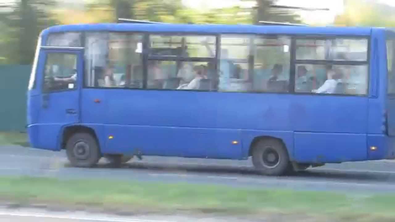 Манжета хвостовика маз 256