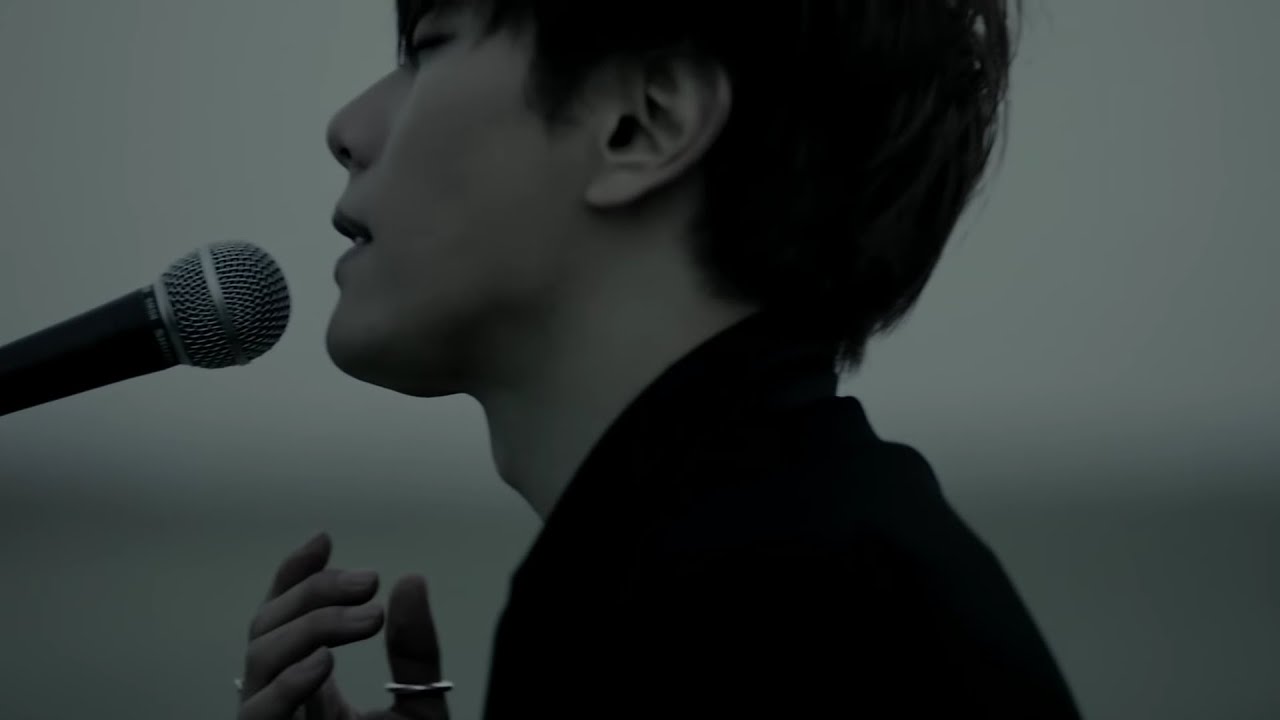 [ENG/other] Park Hyo Shin (박효신) Wildflower YouTube