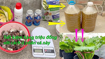 Tự ủ phân cá theo cách này sẽ tiết kiệm hàng triệu đồng cho bạn, lại dễ làm, cách ủ đơn giản chỉ 15f