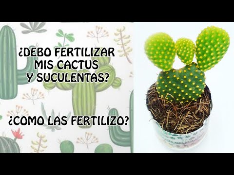 Vídeo: Como E Com O Que Fertilizar Cactos?