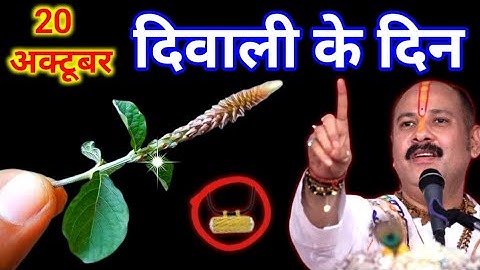 20 अक्टूबर सोमवार दिवाली के दिन पहन लेना इस पौधे की जड़ 😱 तत्काल गरीबी दूर हो जाएगी