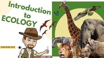 Introduction to Ecology