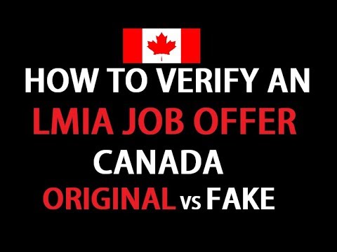how-to-verify-a-fake-lmia-job-offer-canada-l-full-information-explained