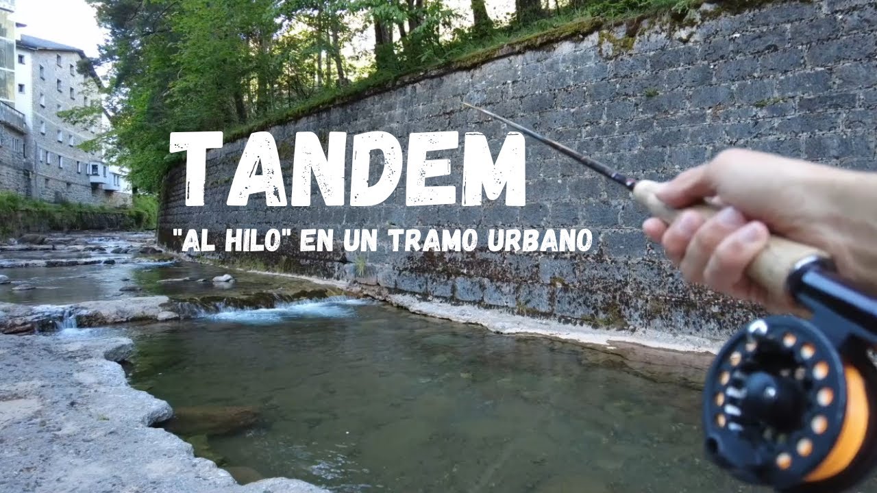 Pesca de truchas con TANDEM 💥 【 En un tramo de río Urbano 🏠】