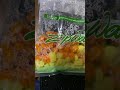 Make this at home: Microwave steamed carrot &amp; potato