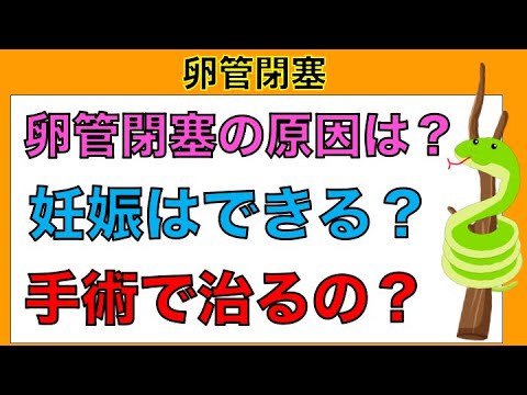 卵管閉塞の原因は？妊娠できる？手術で治るの？