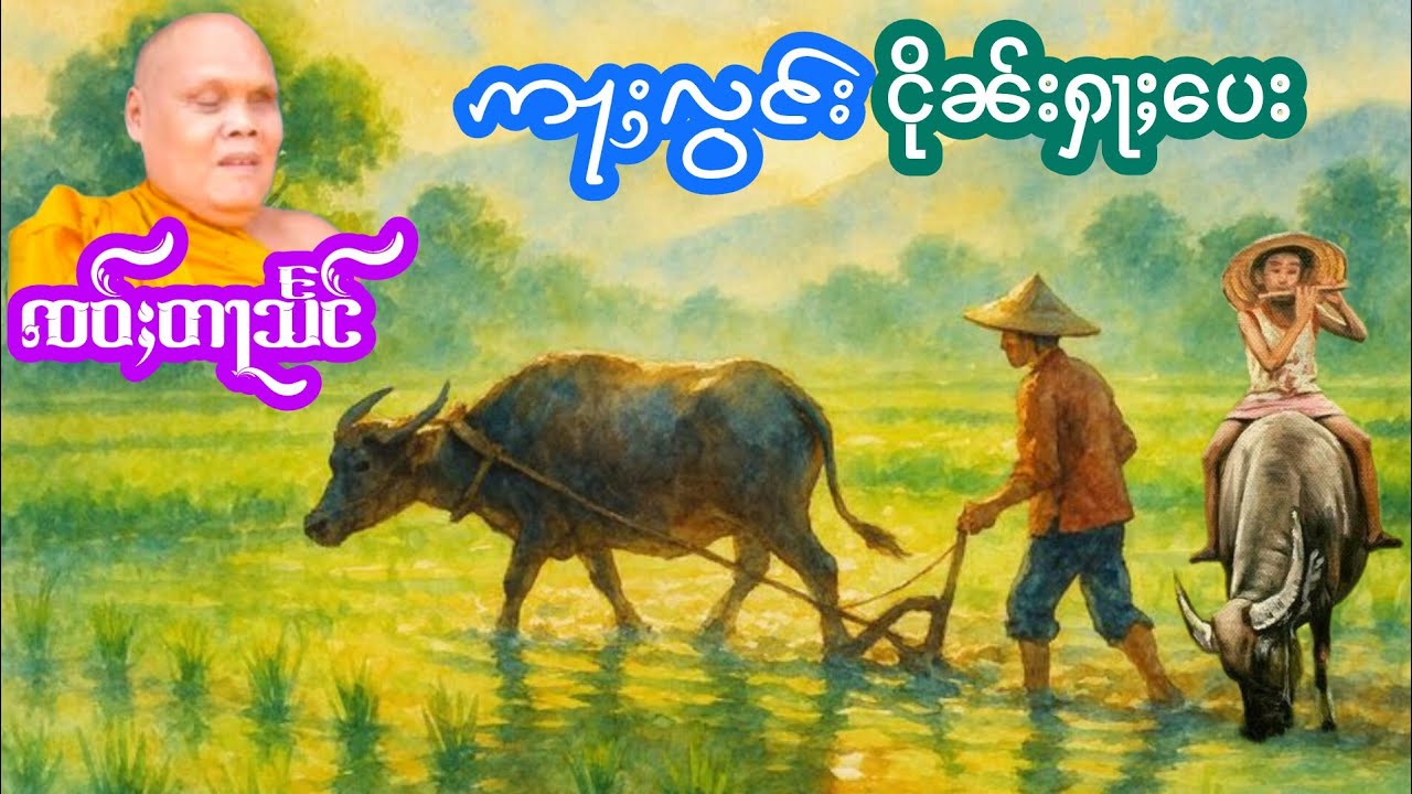 ဢႃႈလွင်းငိုၼ်းႁႃႈပေး ၸဝ်ႈတႃသႅင် เล่าเรื่องนิทานอลองเงินฮ่าเป เจ้าตางแสง
