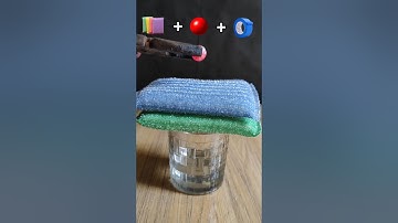 Which Item is Most Satisfying? #experiment #satisfying #foryou