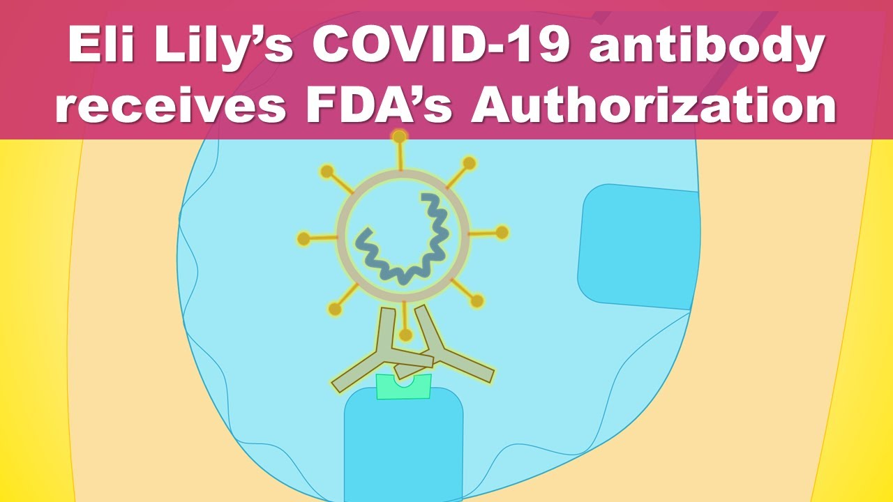 New COVID-19 treatment authorized by FDA - Eli Lilly's Bamlanivimab (LY-CoV555) monoclonal antibody