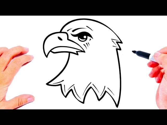 como dibujar | cómo dibujar un halcón paso a paso | dibujos para dibujar - YouTube como-dibujar-c-mo-dibujar-un-halc-n-paso-a-paso-dibujos-para-dibujar-youtube