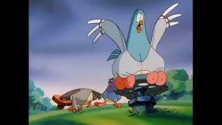 Pigeon Water Expansion