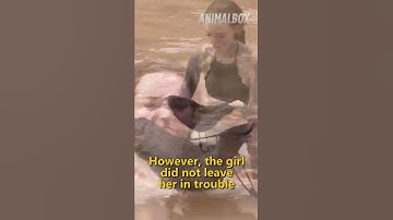 👀 It needs to be seen 😥 Emotional Animal Rescue Story! #shorts