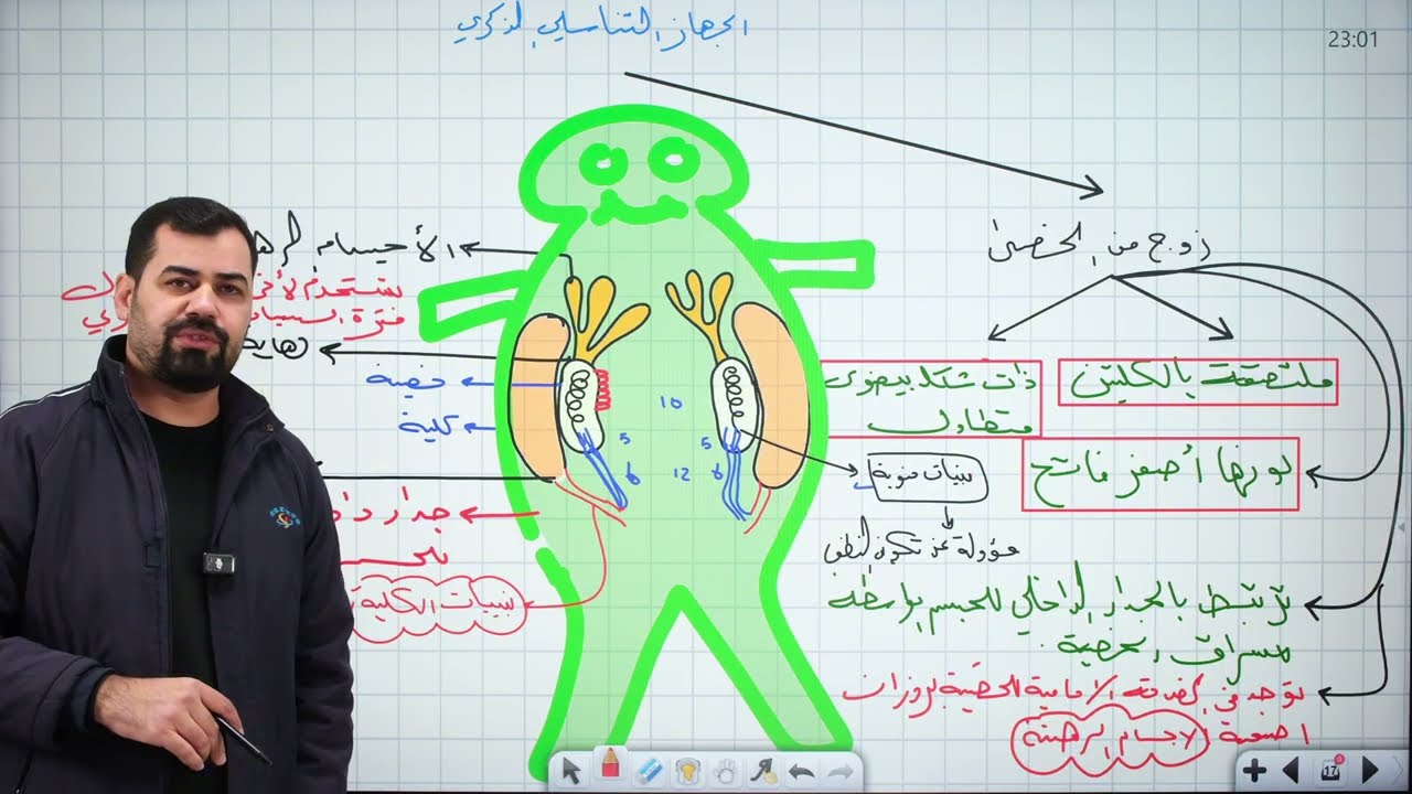 احياء سادس علمي || الفصل الثالث || التكاثر || المحاضرة 18 || التكاثر في الضفدع