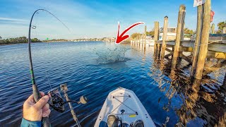 Found A Fishing PARADISE Hidden on the GULF Coast Of Florida!