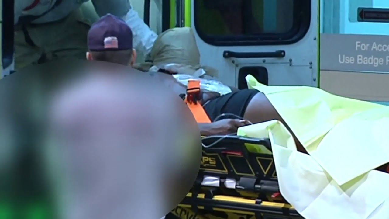 Miami Dolphins' Kendrick Norton has arm amputated after car crash