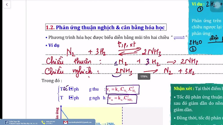 Bài tập trắc nghiệm các dạng cân bằng năm 2024