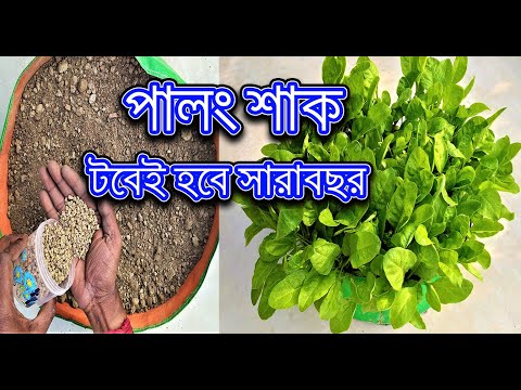 ভিডিও: কীভাবে ট্রাউট এবং পালং ঝুড়ি তৈরি করবেন