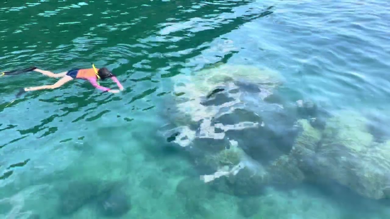 Snorkeling Costa Rica's Golfo Dulce