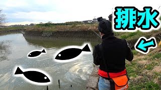 生活排水の前で釣りをしたら・・・