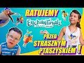 Ratuję owady przed strasznym ptaszyskiem! # 127 Sara i Enchantimals kwitnący ogród