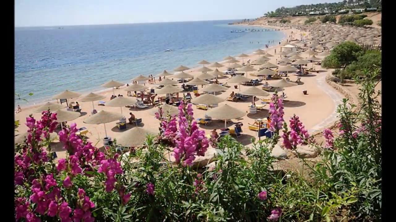 Domina coral bay deluxe. Домина Шарм-Эль-Шейх. Отель домина гарем Египет Шарм-Эль-Шейх. Египет domina Coral. Domina Coral Bay Hotel Египет Шарм-Эль-Шейх.